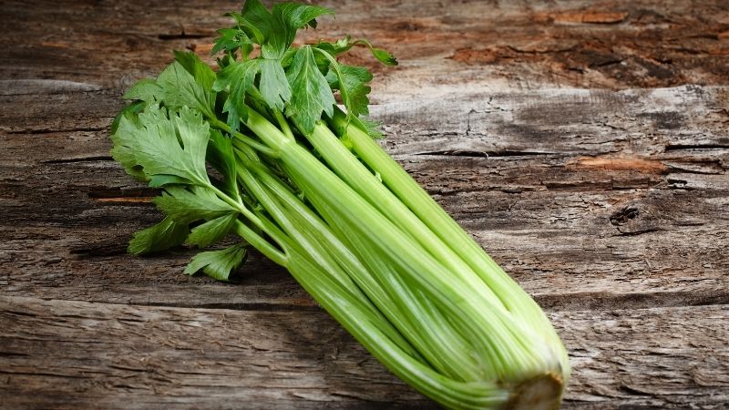 What are the uses of celery? – How to make celery juice