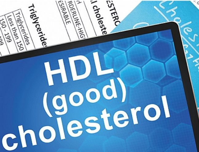 Tìm hiểu hdl-c là gì và cách tăng chất lượng của chúng trong cơ thể