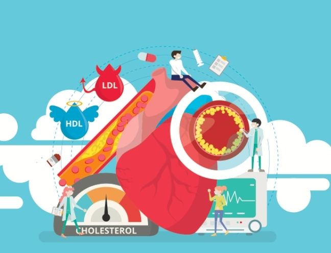 Tìm hiểu về cholesterol hdl và ldl là gì để giảm nguy cơ bệnh tim mạch