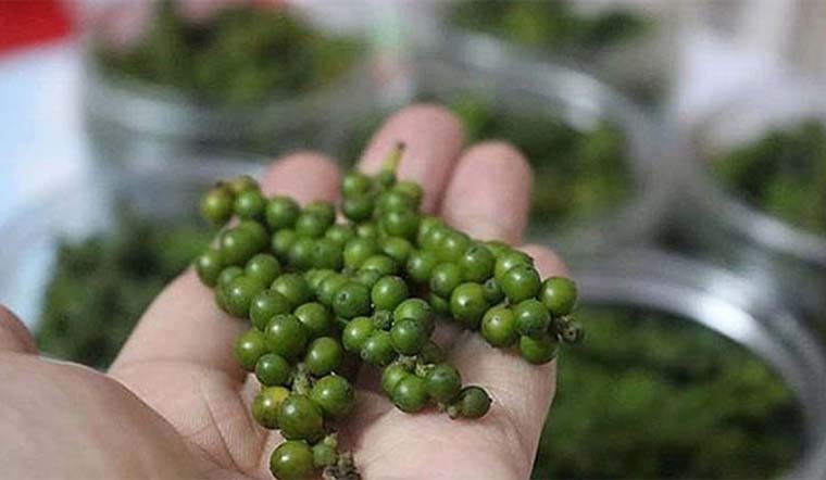 Giá tiêu hôm nay 15/12: Tiếp tục đi ngang, khoảng 81.000 - 83.500 đồng/kg