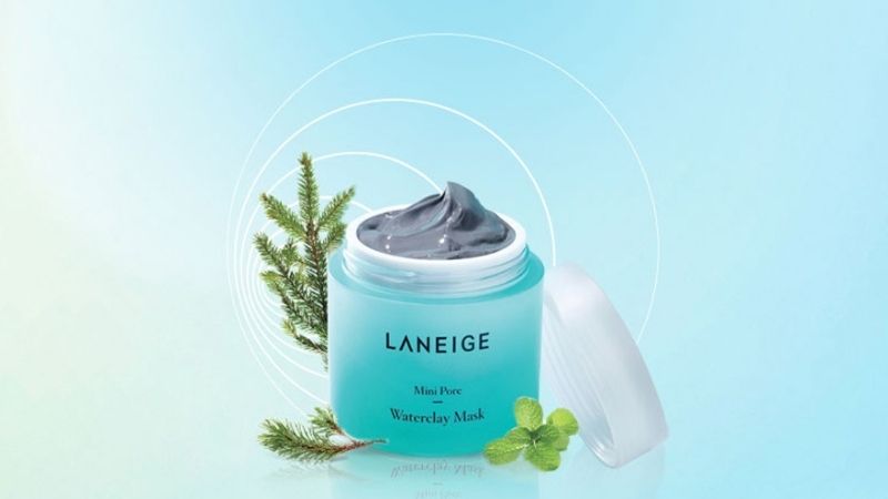 Thành phần chính của Laneige Mini Pore Cement Mask