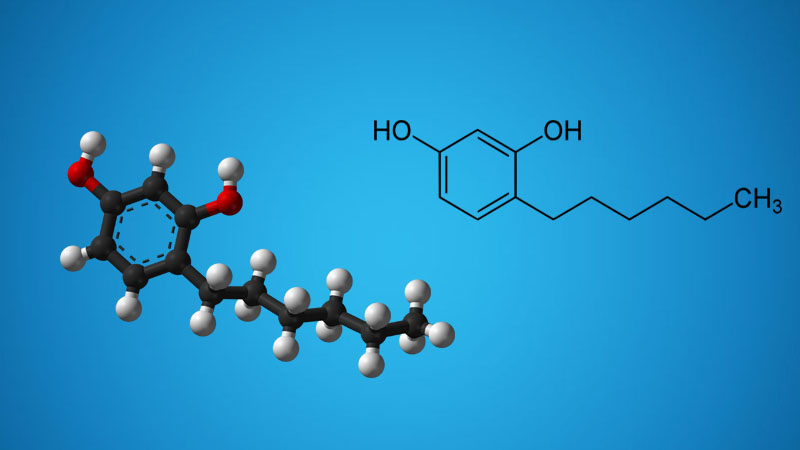 Hexylresorcinol là chất gì