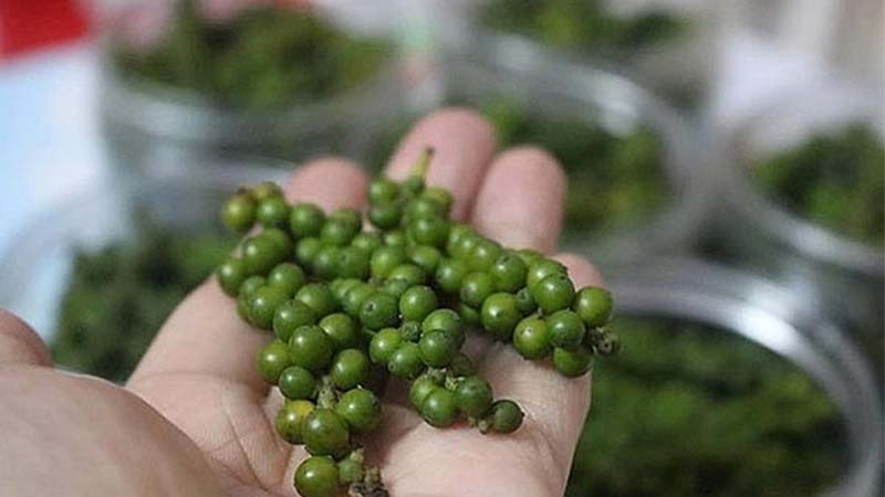 Giá tiêu trong nước Giá tiêu trong nước
