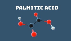 Palmitic Acid là gì? Palmitic Acid có tác dụng gì trong mỹ phẩm?