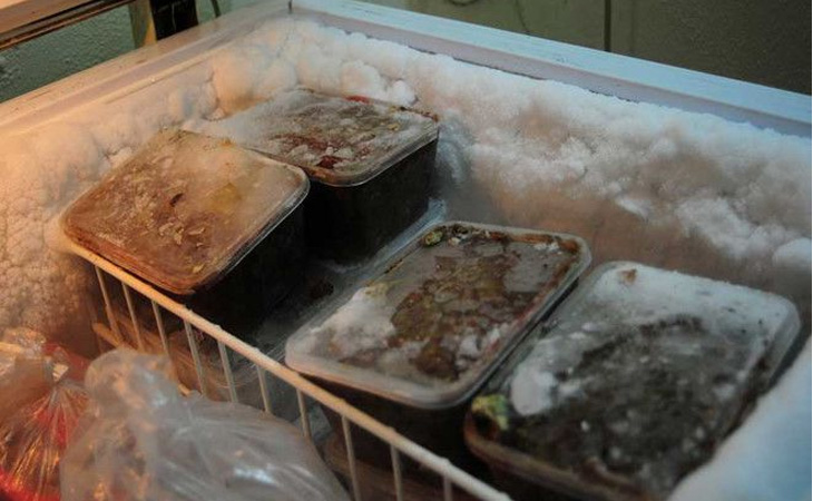 Tác hại khi tủ đông Sanaky bị đóng tuyết