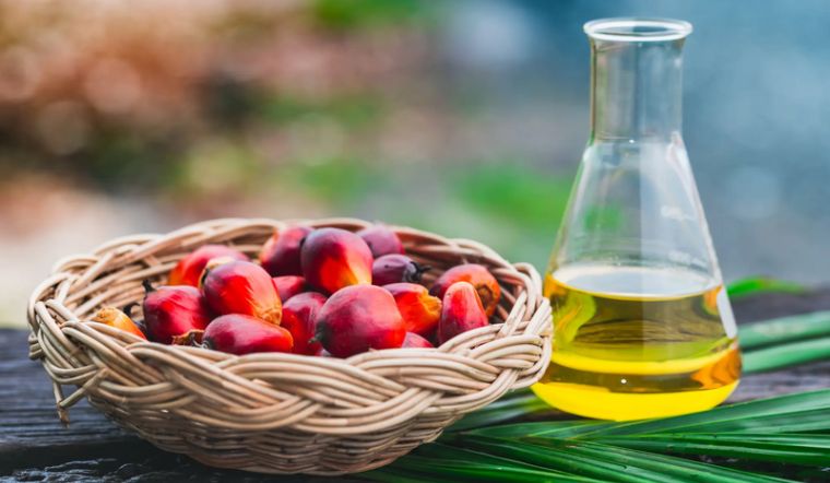 Dầu cọ (Palm Oil) là gì? Tác dụng trong mỹ phẩm bạn cần biết