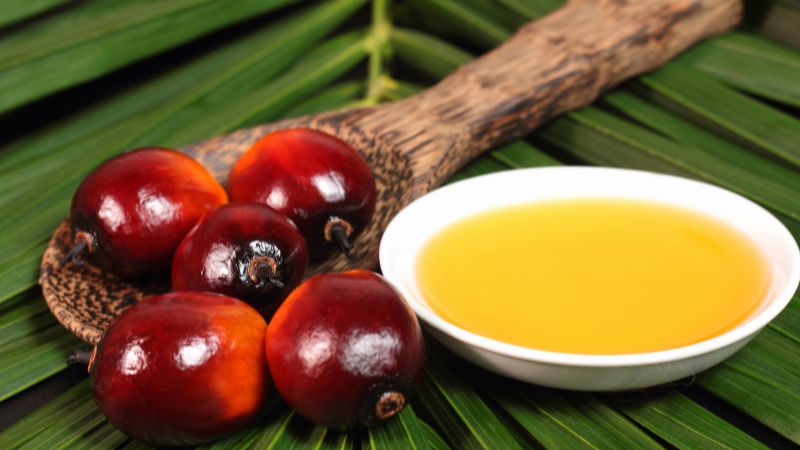 Dầu cọ (Palm Oil) là gì? Tác dụng trong mỹ phẩm bạn cần biết