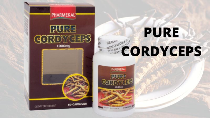 Sản phẩm Pure Cordyceps có tác dụng bảo vệ và tăng cường sức khỏe