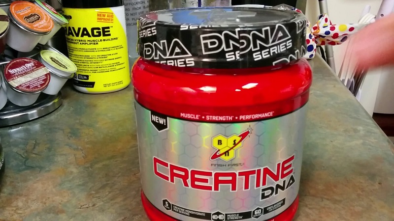 Creatine DNA