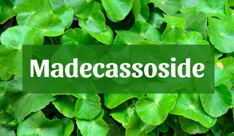 Madecassoside - thành phần trị mụn lành tính từ thiên nhiên cho da
