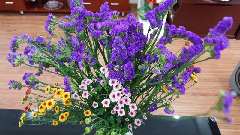 Hoa salem dùng trang trí trong bình hoa