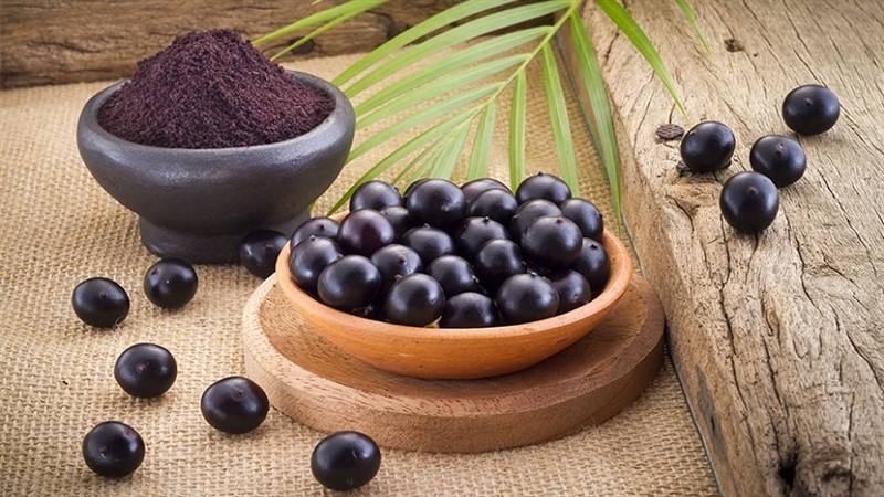 Quả Acai berry chứa nhiều dưỡng chất tốt cho việc làm đẹp