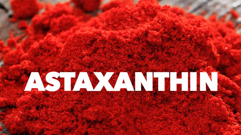 Astaxanthin có mặt rộng khắp trong tự nhiên