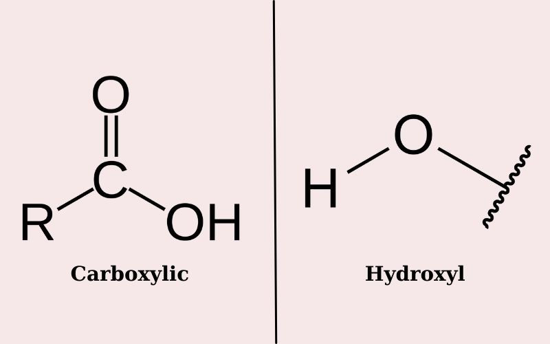 AHA, PHA, LHA, and BHA all have Carboxylic and Hydroxyl functional groups