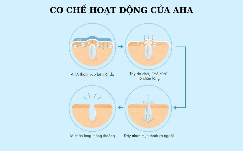 Cơ chế hoạt động của AHA