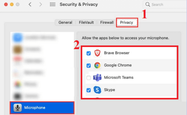 Chọn vào mục Privacy > Chọn Microphone 