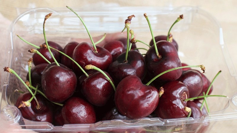 Bảo quản cherry ở nơi khô ráo