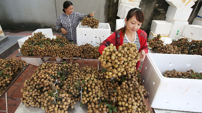 Xếp nhãn vào thùng xốp