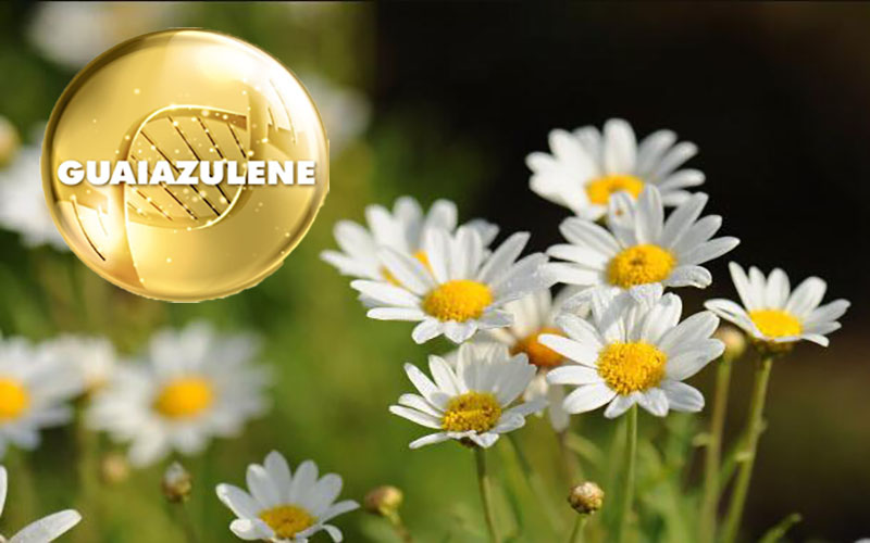 What is Guaiazulene? What are the uses in beauty products?
