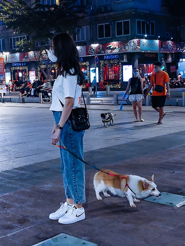 Rực rỡ đêm giáng sinh cuối năm cùng Galaxy A52s 5G