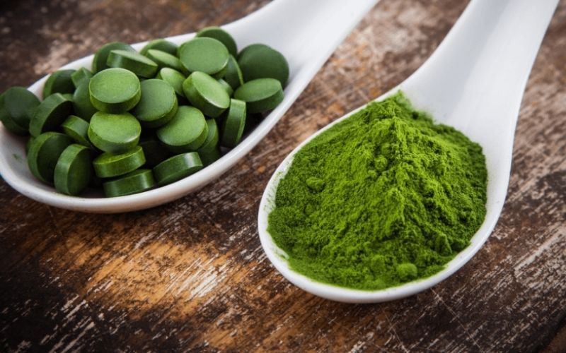 Tảo lục Chlorella chứa nhiều vitamin