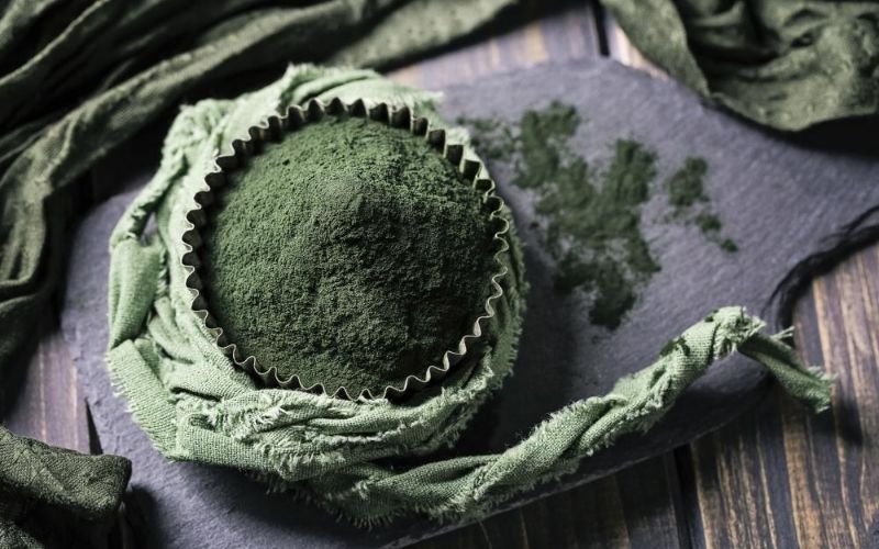 Tảo lục Chlorella chứa nhiều axit béo không bão hòa