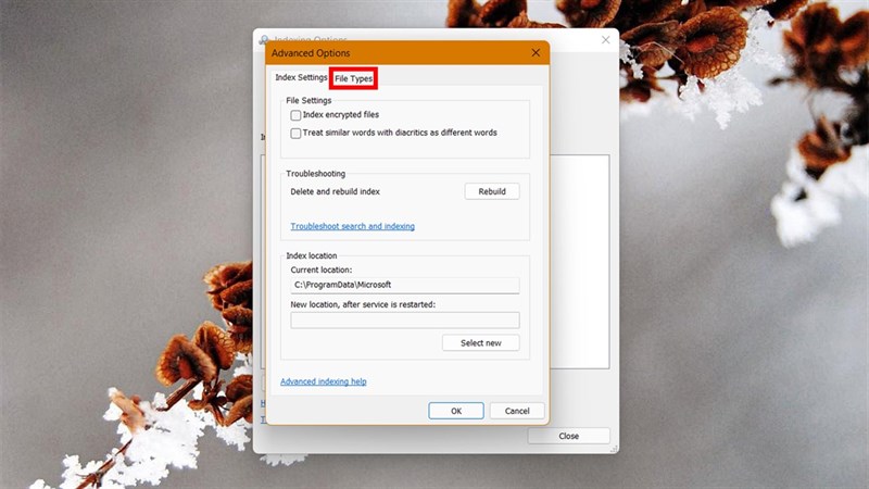 cách ẩn thư mục khỏi kết quả tìm kiếm trên Windows 11 cách ẩn thư mục khỏi kết quả tìm kiếm trên Windows 11