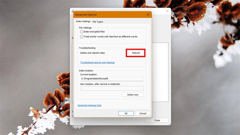 cách ẩn thư mục khỏi kết quả tìm kiếm trên Windows 11 cách ẩn thư mục khỏi kết quả tìm kiếm trên Windows 11
