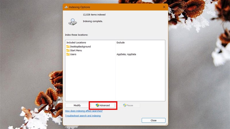 cách ẩn thư mục khỏi kết quả tìm kiếm trên Windows 11 cách ẩn thư mục khỏi kết quả tìm kiếm trên Windows 11