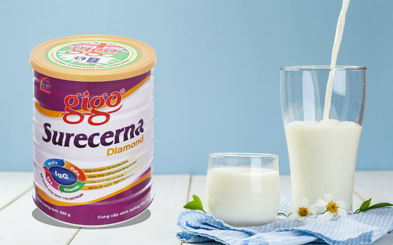 Sữa bột Gigo Surecerna lon 900g
