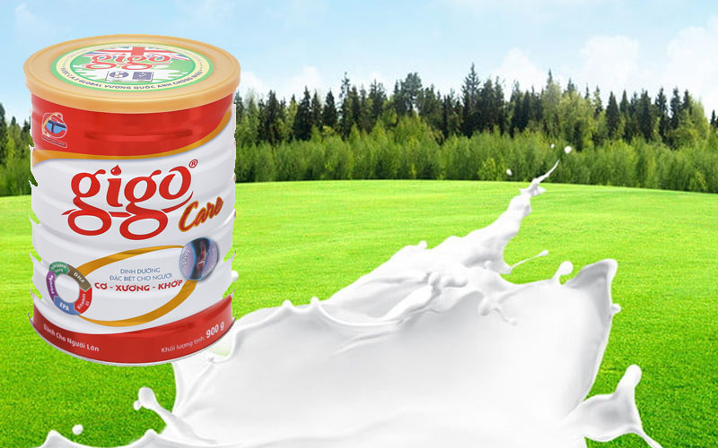 Sữa bột Gigo Care lon 900g