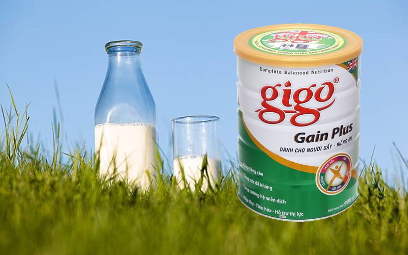 Sữa bột Gigo Gain Plus lon 900g