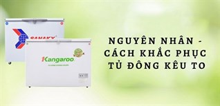 Nguyên nhân tủ đông kêu to bất thường cách khắc phục đơn giản tại nhà
