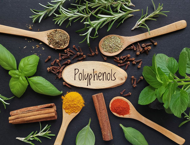 Hợp chất polyphenol có tác dụng gì trong cơ thể?