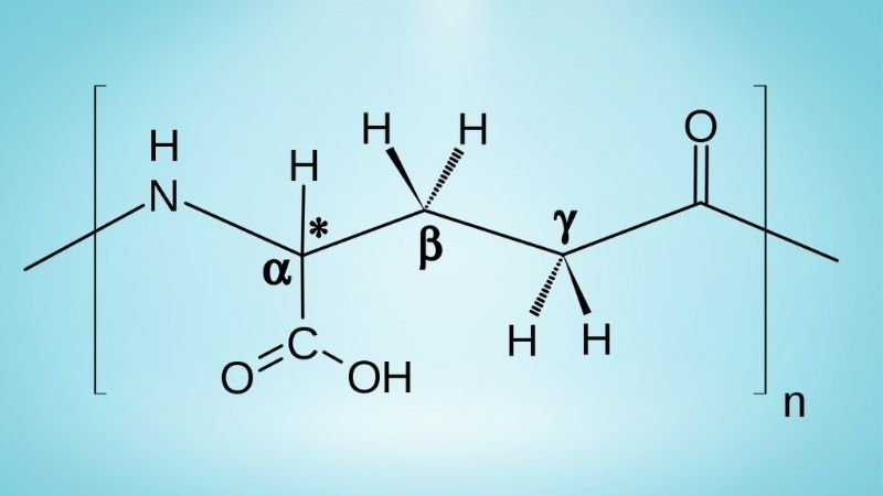 Polyglutamic Acid à gì?