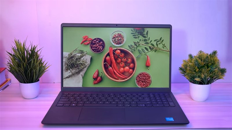 Đâu là những tiêu chí cần lưu ý khi mua laptop đồ hoạ? Gợi ý TOP 5 laptop đồ họa tầm trung đáng sắm nhất tại TGDĐ