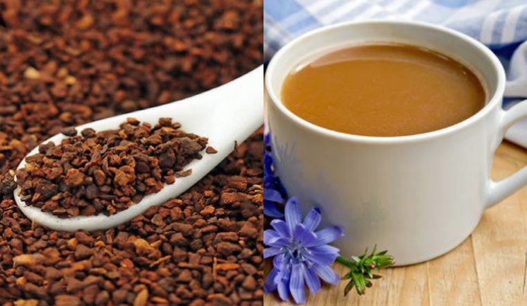 Cà phê Chicory là gì? Có dùng để thay thế cho cà phê?