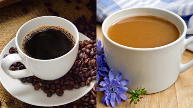 Dùng cà phê Chicory thay thế cho những loại cà phê khác