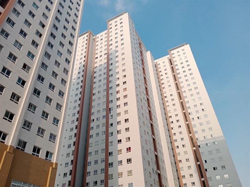 Ảnh chụp bằng Vivo Y33s trong điều kiện đủ sáng Ảnh chụp bằng Vivo Y33s trong điều kiện đủ sáng