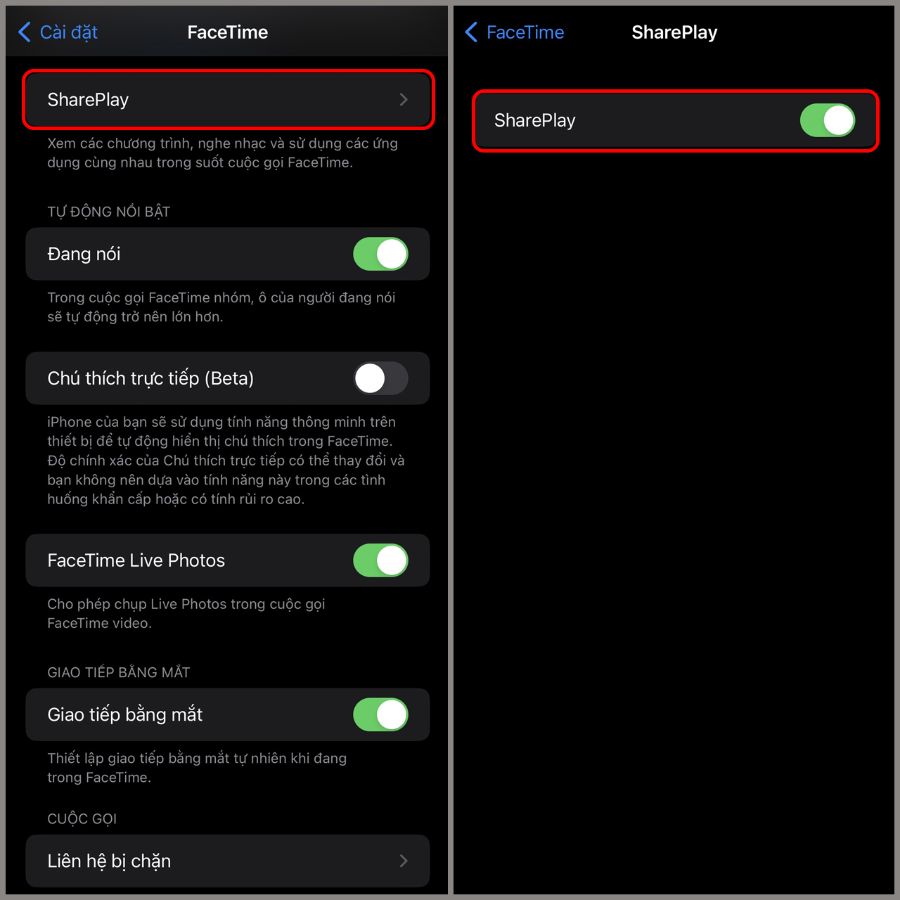 Lỗi FaceTime SharePlay Lỗi FaceTime SharePlay