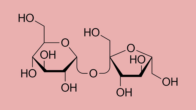 Sucrose là một disaccharide gồm 1 phân tử glucose và 1 phân tử fructose 
