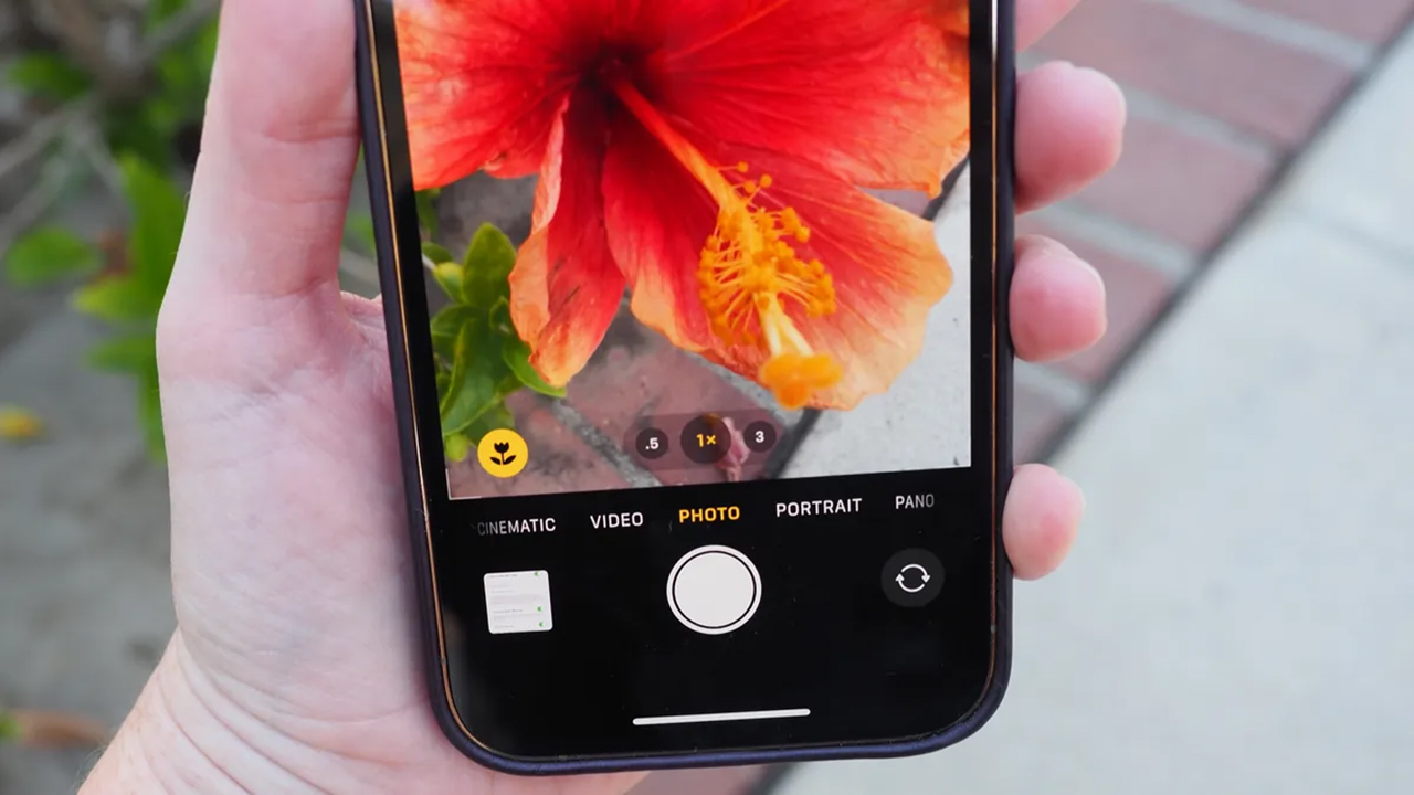 Cách chuyển chế độ chụp Macro trên iPhone chỉ với một cú chạm