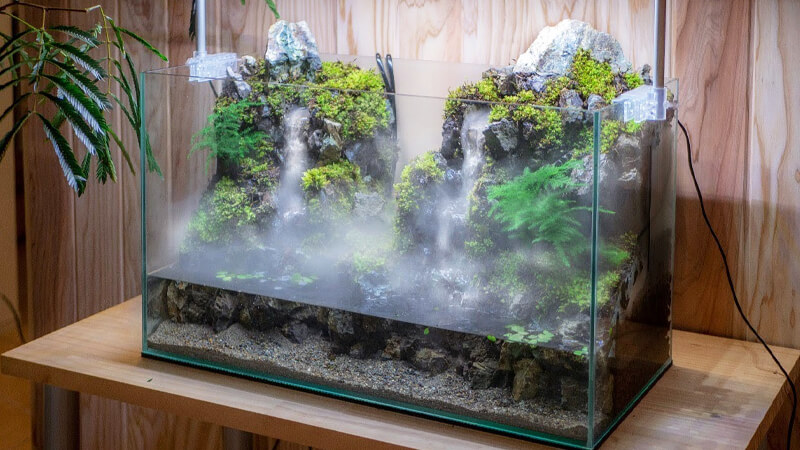 Aquaterrarium