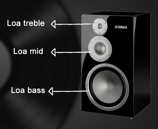 Điểm khác biệt giữa loa Mid với loa Bass và loa Treble