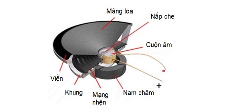 Cấu tạo của loa Mid