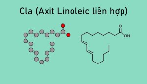 Cla (Axit Linoleic liên hợp) là gì? Có nên giảm cân bằng Cla