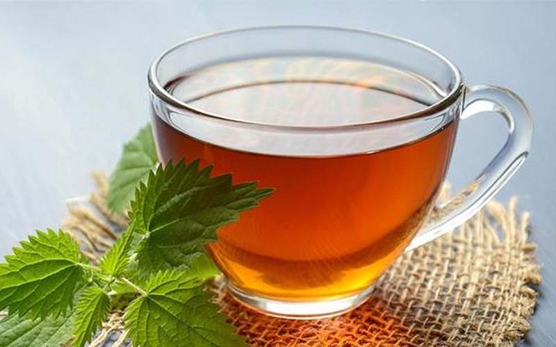Dosage for pregnant women when drinking mulberry leaf tea