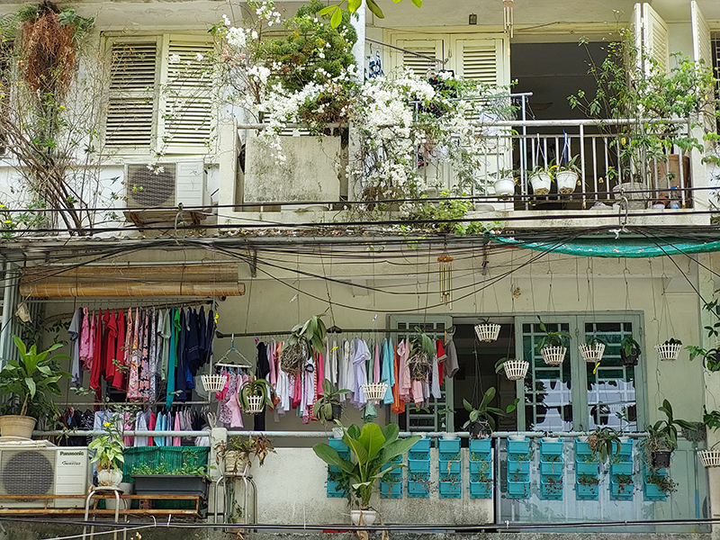 Ảnh chụp zoom 3x trong điều kiện đầy đủ sáng trên Galaxy A72.