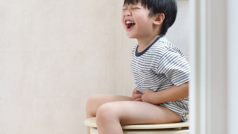 Chất xơ giúp quá trình tống phân dễ dàng và đều đặn, giảm táo bón