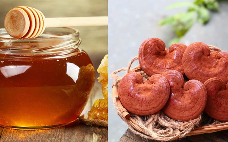 Reishi mushroom soaked in honey